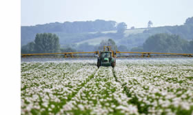 Potato blight spraying